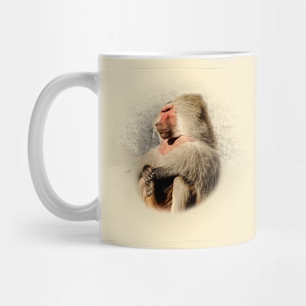 Baboon by Guardi